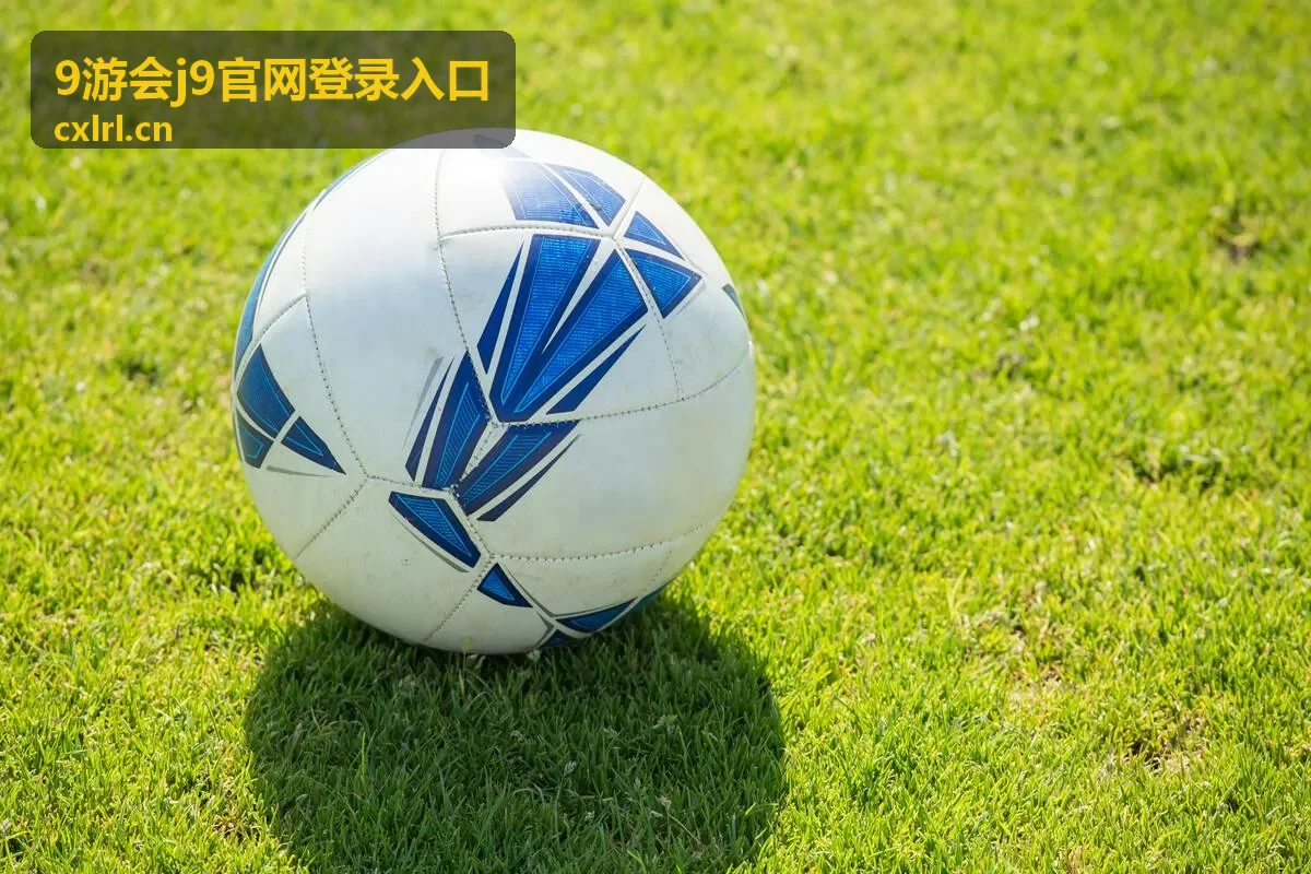9游会j9官网登录入口验证码接收异常专题图